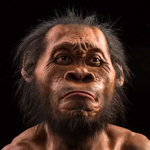 Homo naledi